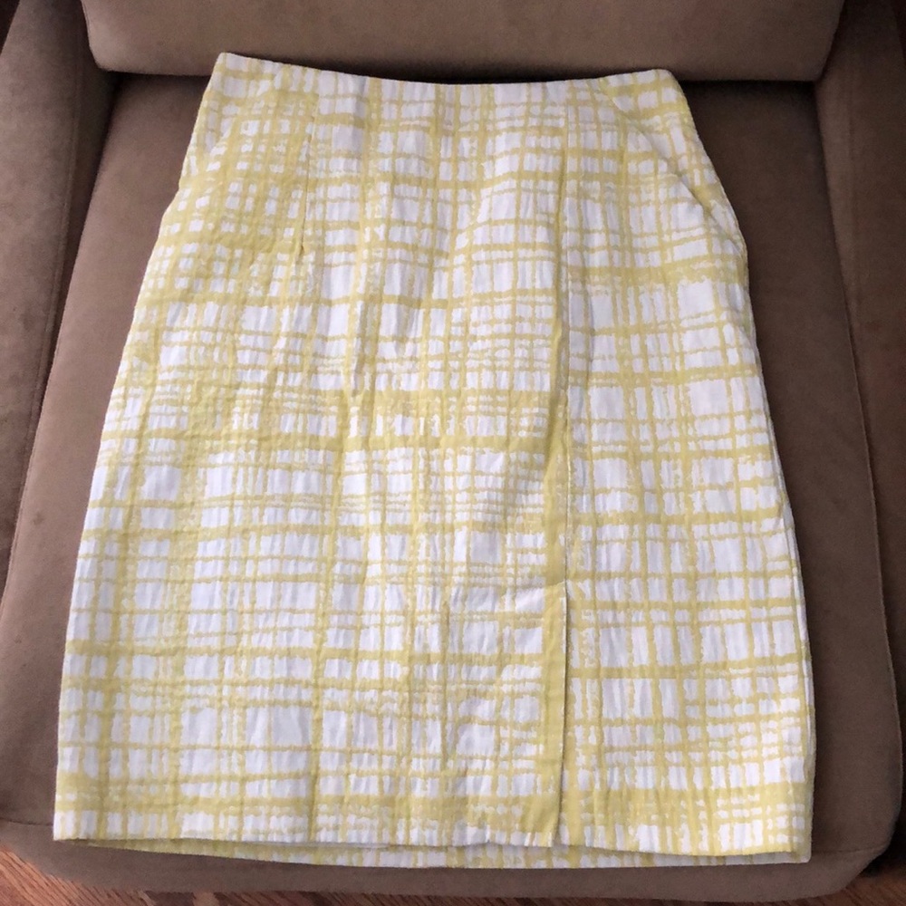 Walter Baker skirt